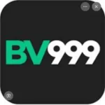 BV999 Game
